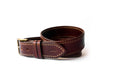 The Belt 2.0